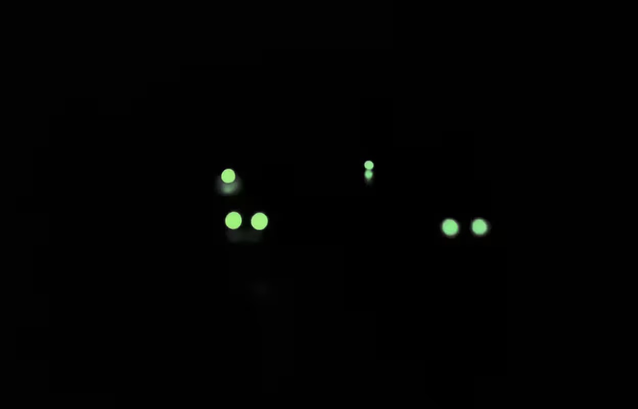 IMG_5819.jpeg